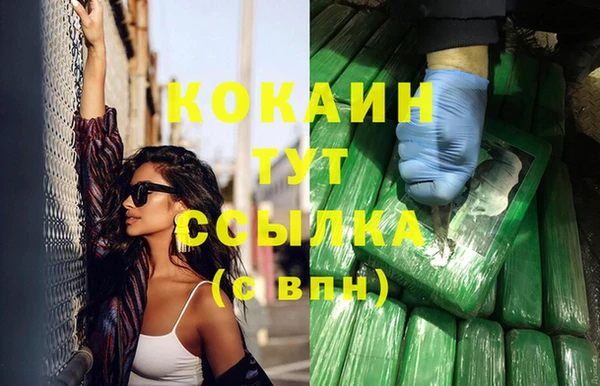 крисы Кодинск