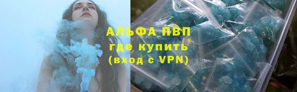 крисы Кодинск
