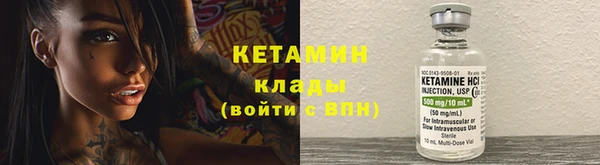 крисы Кодинск