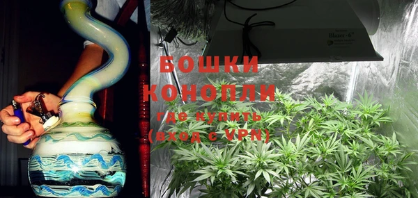 крисы Кодинск