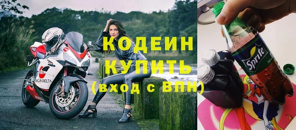 крисы Кодинск