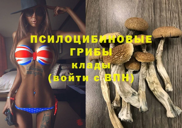 крисы Кодинск