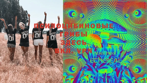 кокс Козельск