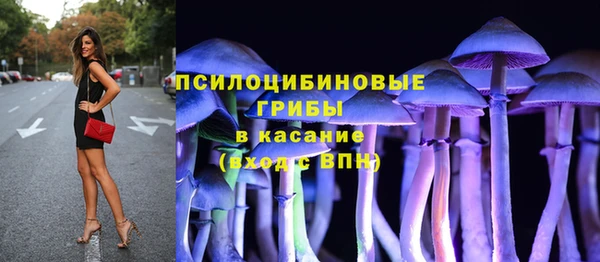 крисы Кодинск