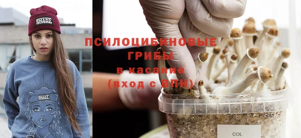 амфетамин Козловка