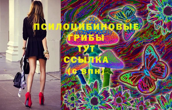амфетамин Козловка